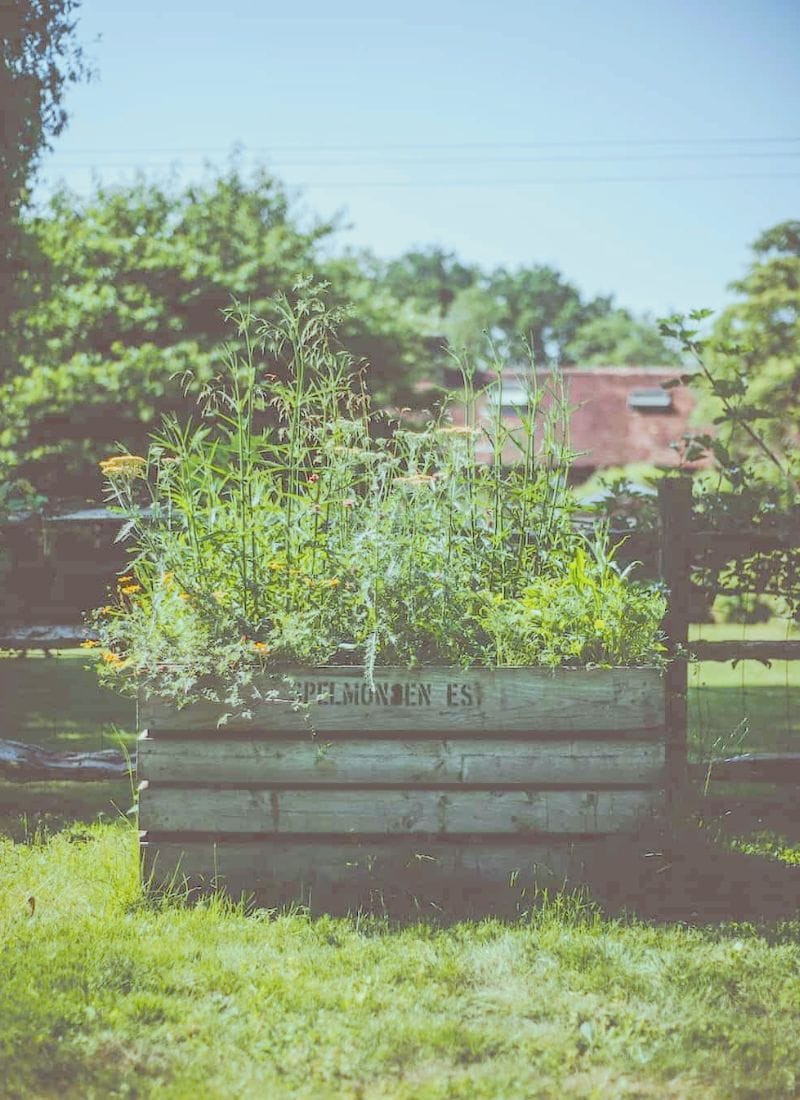 how to create a wildlife garden with medal winning gardener Liz Ridgway who shares her tips and ideas for boosting the wildlife and eco system in your own garden