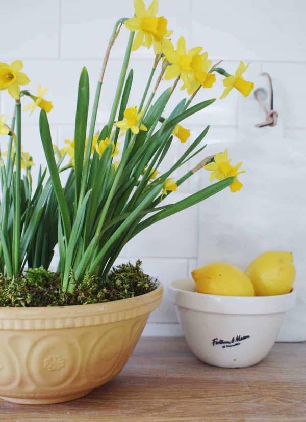 Simple spring flower arrangement ideas - From Britain with Love