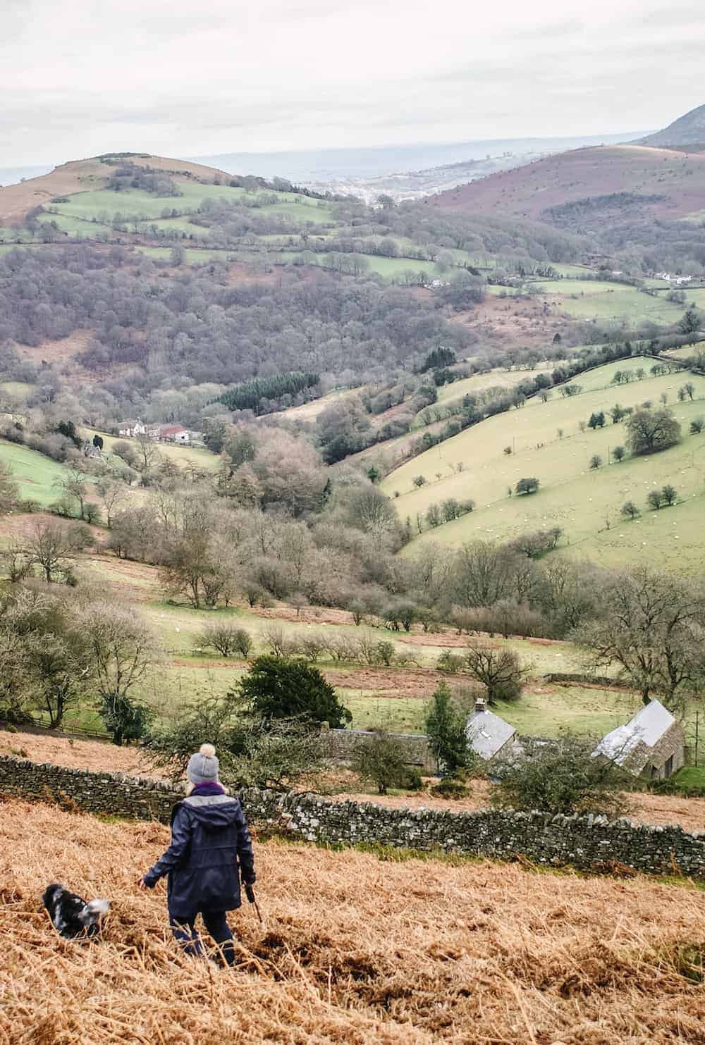 dog walking in the brecon beacons in wales near the black mountains between Abergavenny and Llanthony. Click through to see more images from our stay as well as inside shots of beautiful modern rustic Patrishow Farm where we stayed