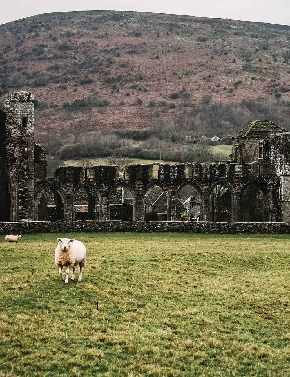 loved the ruins at Llanthony priory in the Brecon Beacons national park in wales. Click through to see more images from our stay as well as inside shots of beautiful modern rustic Patrishow Farm where we stayed 