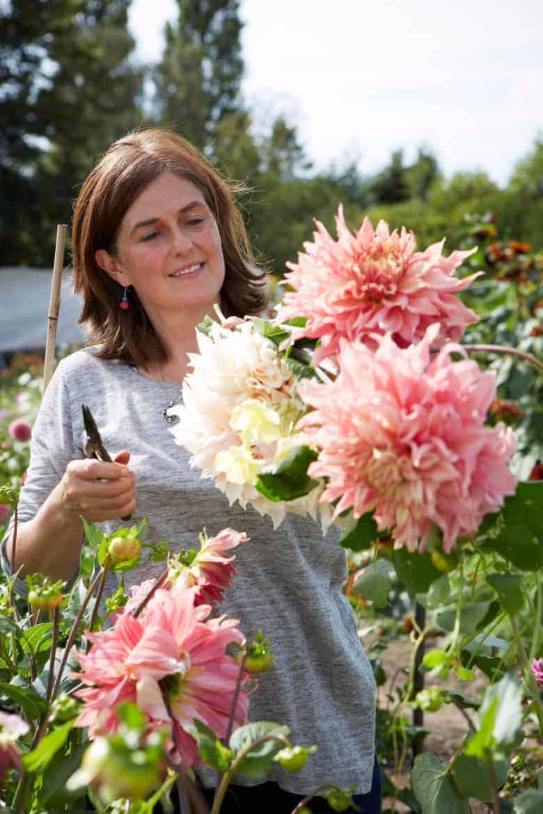 love cafe au lait dahlias. meet Tammy Hall, founder of Wild Bunch flowers - sustainable homegrown british flower farm cutting garden and flower workshops near the welsh border in Shropshire. Click through for all the details you need to connect, book a workshop or find inspiration #sustainable #britishflowers #homegrown #wildflowers #cuttinggarden #frombritainwithlove meet Tammy Hall, founder of Wild Bunch flowers - sustainable homegrown british flower farm cutting garden and flower workshops near the welsh border in Shropshire. Click through for all the details you need to connect, book a workshop or find inspiration #sustainable #britishflowers #homegrown #wildflowers #cuttinggarden #frombritainwithlove #flowerworkshops #flowerarrangements #ideas