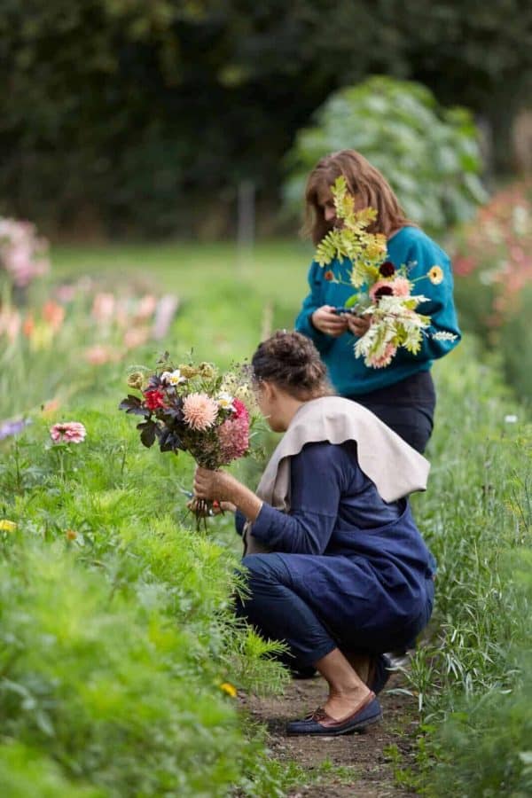 Tammy Hall, Wild Bunch Flowers - From Britain with Love