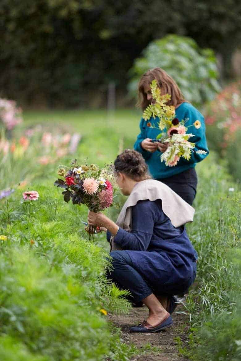 meet Tammy Hall, founder of Wild Bunch flowers - sustainable homegrown british flower farm cutting garden and flower workshops near the welsh border in Shropshire. Click through for all the details you need to connect, book a workshop or find inspiration #sustainable #britishflowers #homegrown #wildflowers #cuttinggarden #frombritainwithlove
