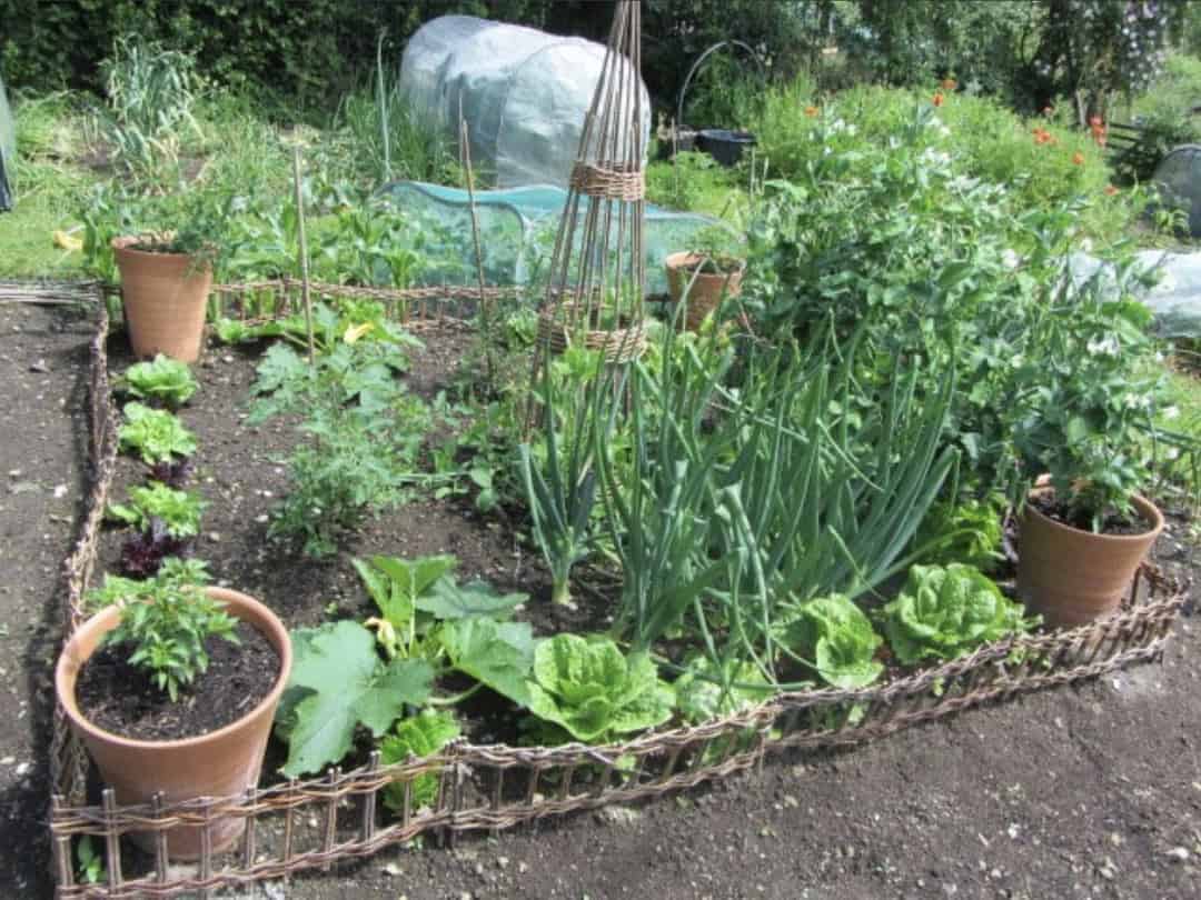 Sustainable garden ideas: 10 of the best by Pippa Greenwood - From ...