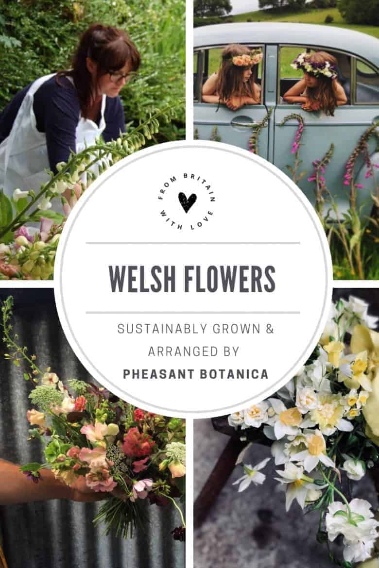 love pheasant botanica sustainable flowers grown in wales for welsh weddings, events and more. Click through to meet Donna Bowen-Heath who grows her flowers on her family farm in the welsh hills. #welshflowers #growninwales #sustainableflowers #frombritainwithlove #seasonal #britishflowers