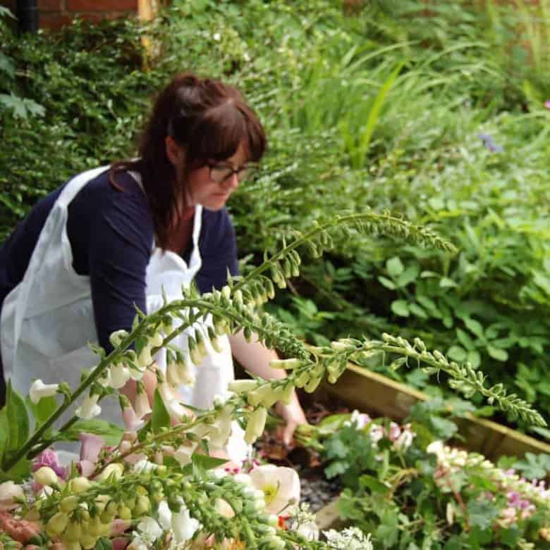 expert tips on how to create a flower cutting garden with pheasant botanica in wales and other flower growing experts with flower ideas and expert tips to help you #cuttinggarden #flowers #grow #howtogrowflowers