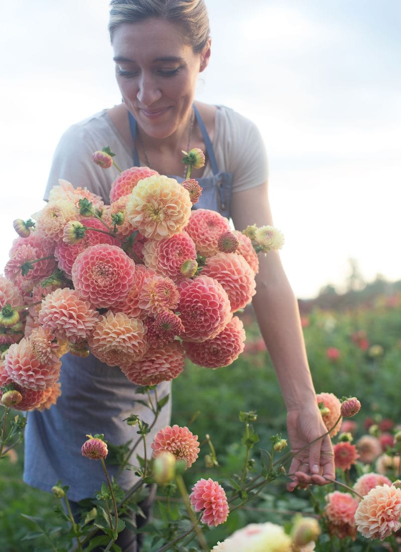 floret farm's a year in flowers book by erin benzakein