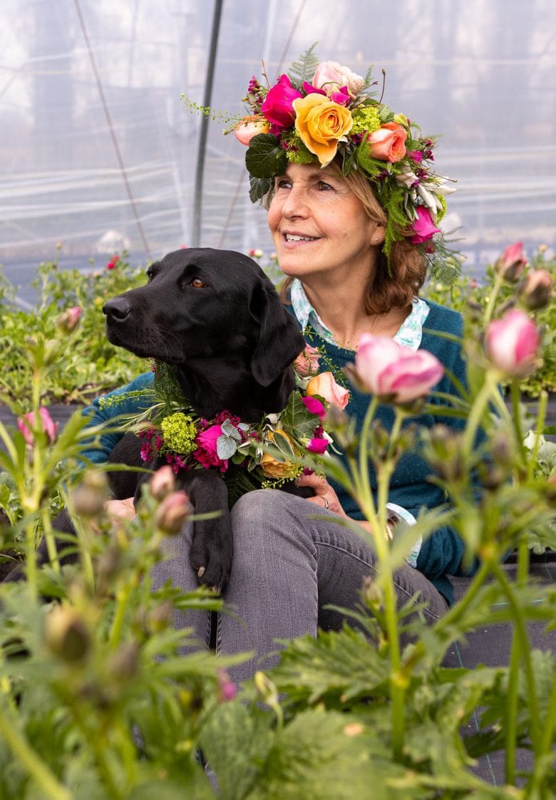 Cottage garden roses - a seasonal guide to the most beautiful - From ...