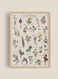 british wildflowers botanical print artwork giclee print ready for framing