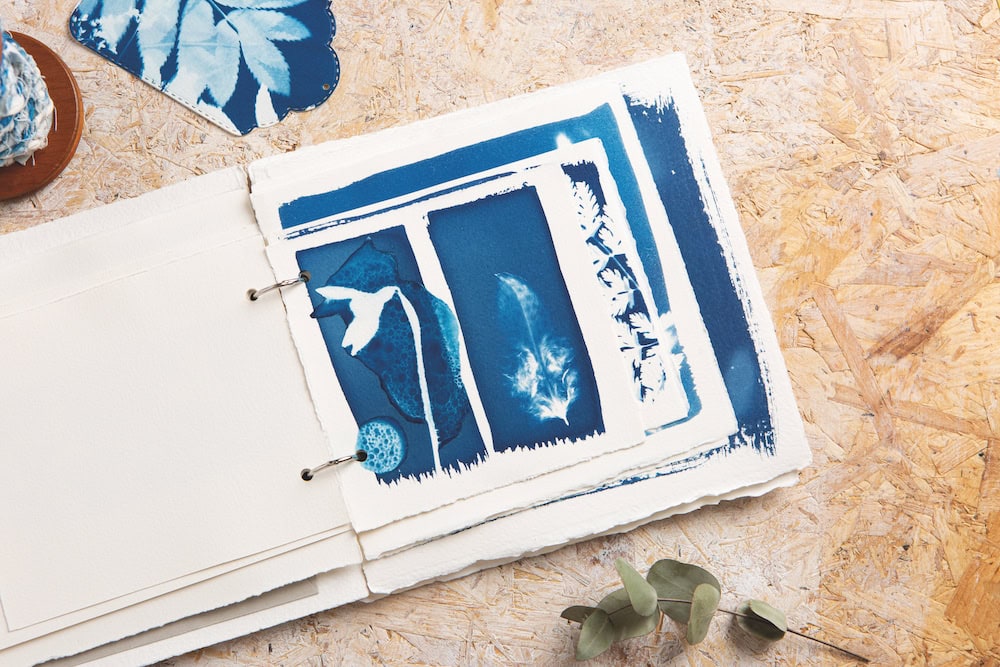 cyanotype journal snowdrop