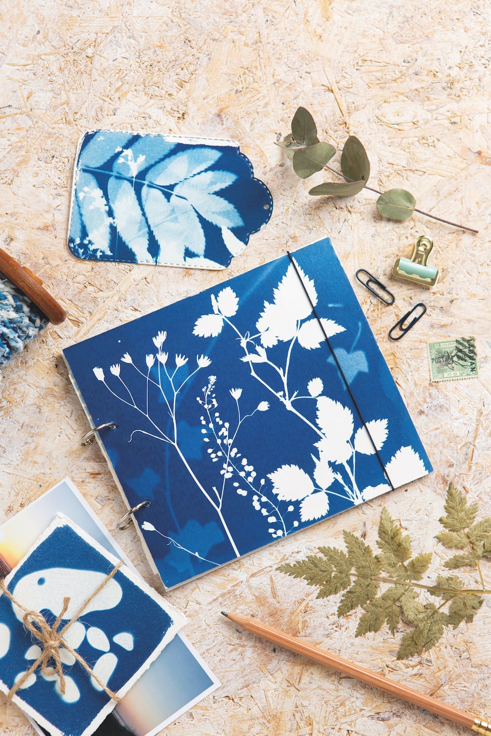 cyanotype nature journal design by kim tillyer from her new book Beginner's Guide to Cyanotype. We have four signed copies to give away as well as a free diy tutorial by kim for you to try your hand at this highly enjoyable and creative craft