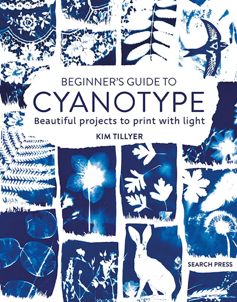 beginners guide to cyanotype kim tillyer