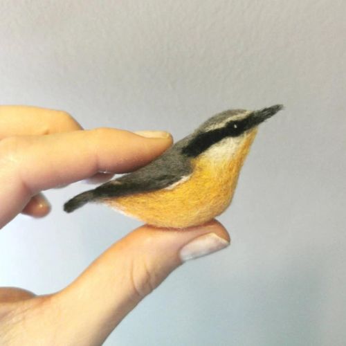 nuthatch felted british birds miniature by chiffchaff designs on etsy